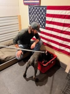 a trainer try to feed a dog Rosso Rak Cane Corso