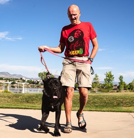 customer see and try her or him Dog is perfectly trained or not Rosso Rak Cane Corso